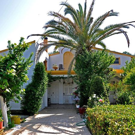 Villa Elena Studios Dassia (Corfu) Exterior foto