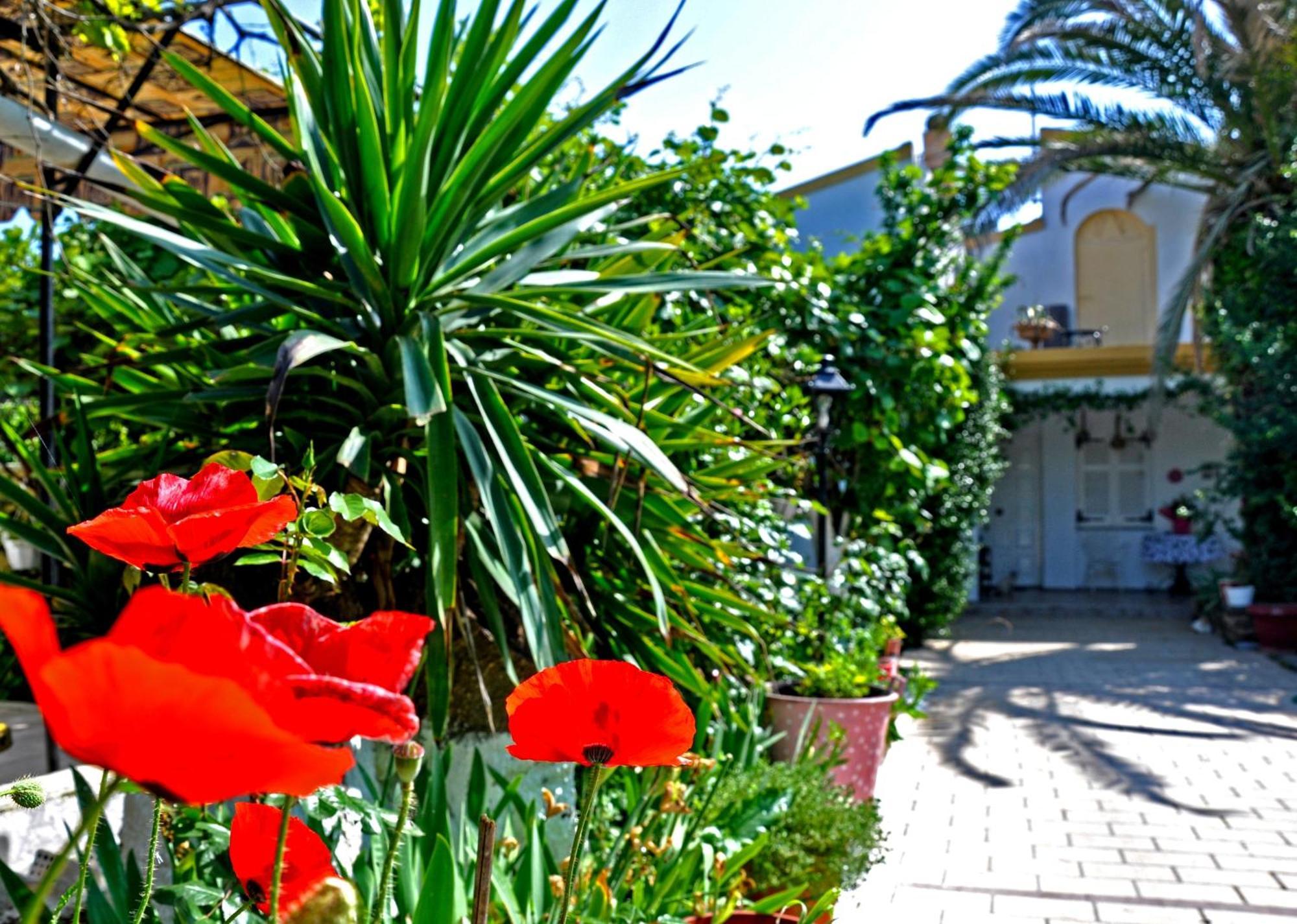 Villa Elena Studios Dassia (Corfu) Exterior foto